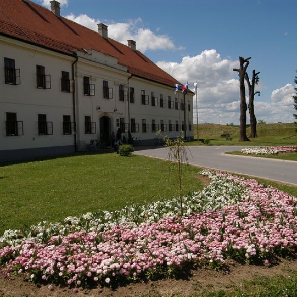 Održana Izvanredna sjednica Gradskog vijeća Slavonskog Broda