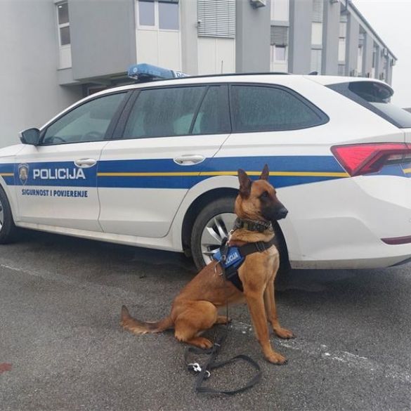 PU požeško-slavonska dobila policijskog psa tragača