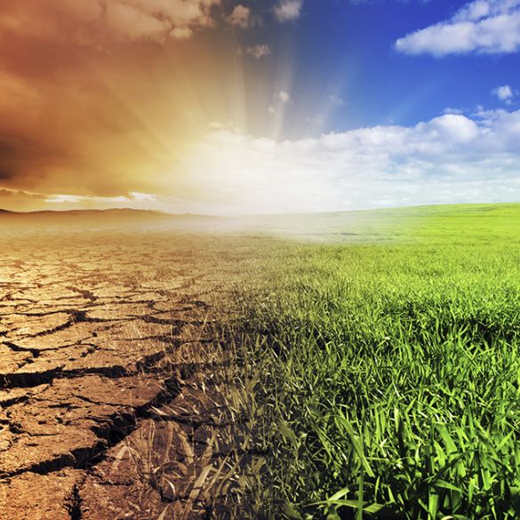 Svjetski je dan zaštite okoliša - tema klimatske promjene 