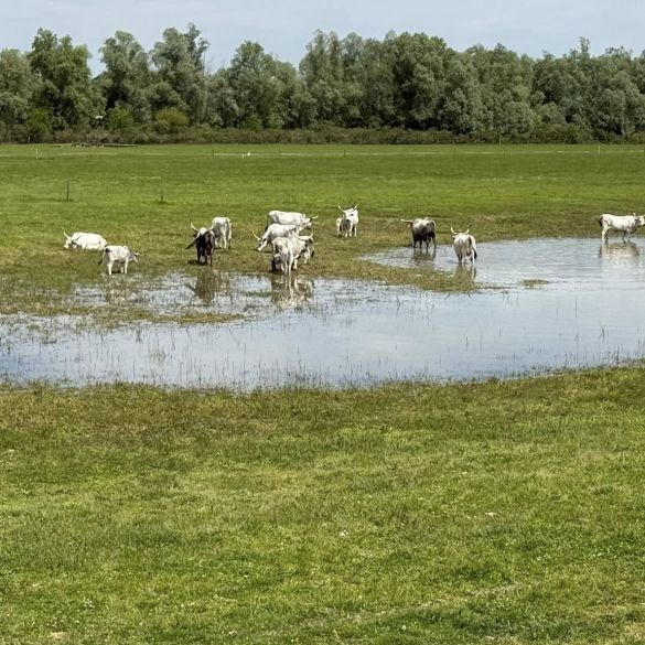 Predstavnici brodskih medija posjetili zaštićeni krajobraz Gajnu 