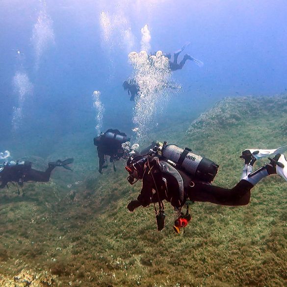 Prijavi se na novi tečaj Kpa Marsonie!